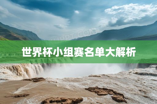 世界杯小组赛名单大解析