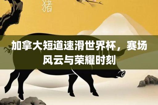 加拿大短道速滑世界杯，赛场风云与荣耀时刻