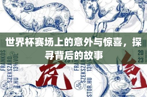 世界杯赛场上的意外与惊喜，探寻背后的故事