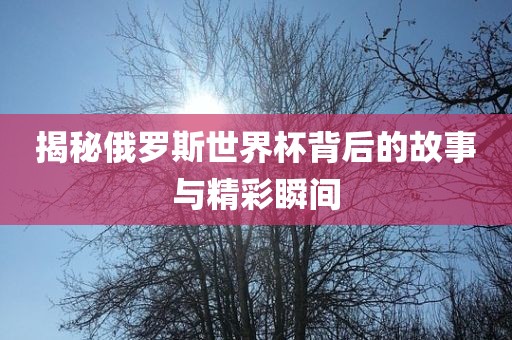 揭秘俄罗斯世界杯背后的故事与精彩瞬间
