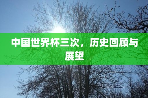 中国世界杯三次，历史回顾与展望
