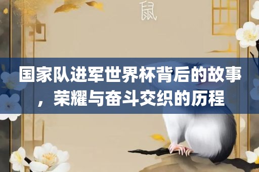 国家队进军世界杯背后的故事，荣耀与奋斗交织的历程
