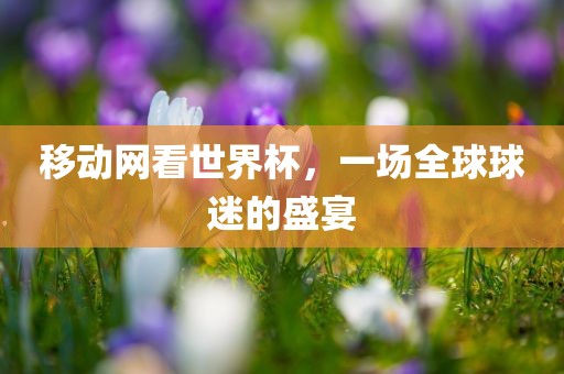移动网看世界杯，一场全球球迷的盛宴