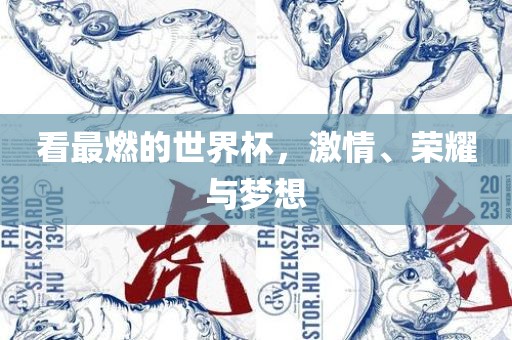 看最燃的世界杯，激情、荣耀与梦想
