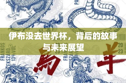 伊布没去世界杯，背后的故事与未来展望
