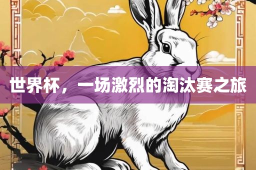 世界杯，一场激烈的淘汰赛之旅