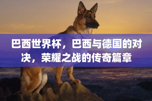 巴西世界杯，巴西与德国的对决，荣耀之战的传奇篇章