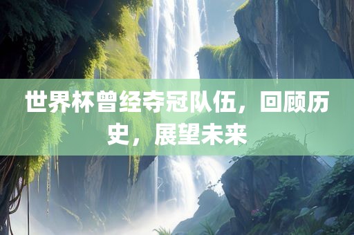 世界杯曾经夺冠队伍，回顾历史，展望未来