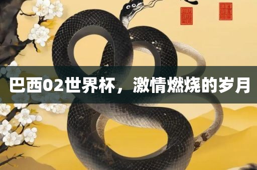 巴西02世界杯，激情燃烧的岁月