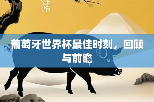 葡萄牙世界杯最佳时刻，回顾与前瞻