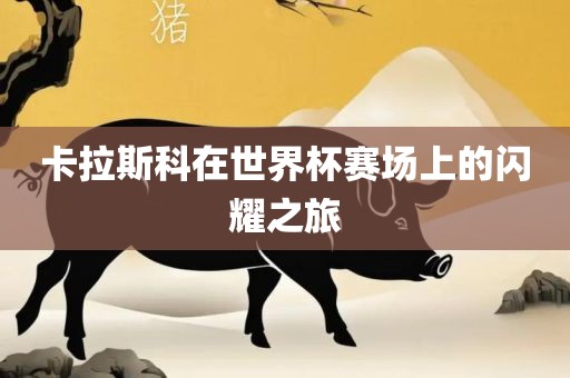 卡拉斯科在世界杯赛场上的闪耀之旅