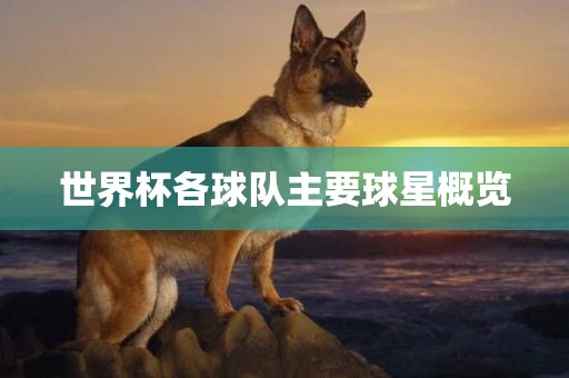 世界杯各球队主要球星概览