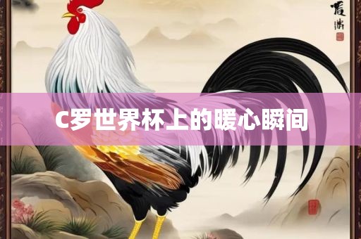 C罗世界杯上的暖心瞬间