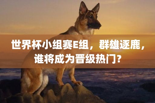 世界杯小组赛E组，群雄逐鹿，谁将成为晋级热门？
