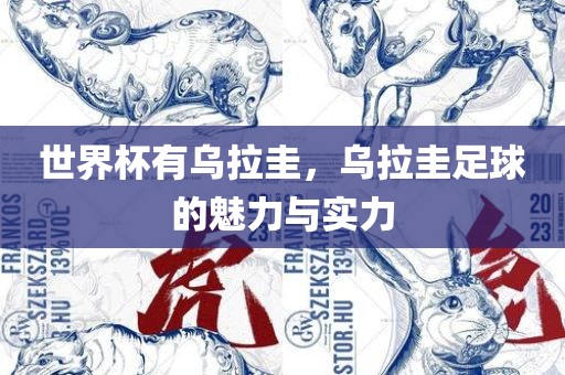 世界杯有乌拉圭，乌拉圭足球的魅力与实力