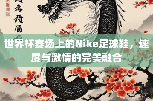 世界杯赛场上的Nike足球鞋，速度与激情的完美融合
