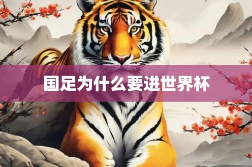 国足为什么要进世界杯
