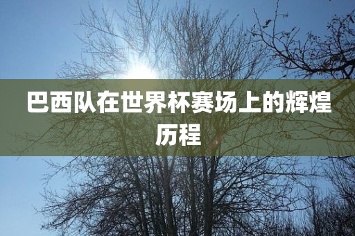 巴西队在世界杯赛场上的辉煌历程