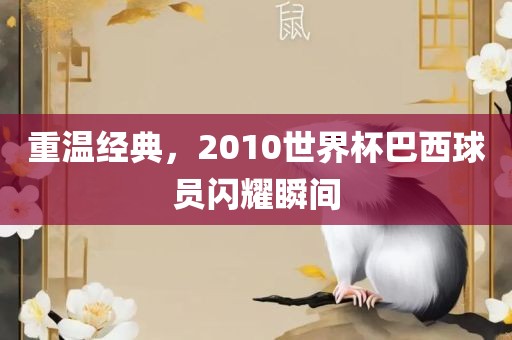 重温经典，2010世界杯巴西球员闪耀瞬间