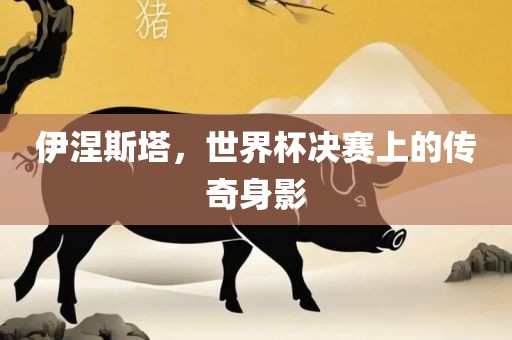 伊涅斯塔，世界杯决赛上的传奇身影
