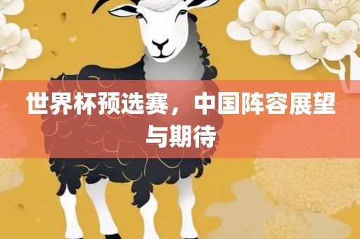 世界杯预选赛，中国阵容展望与期待