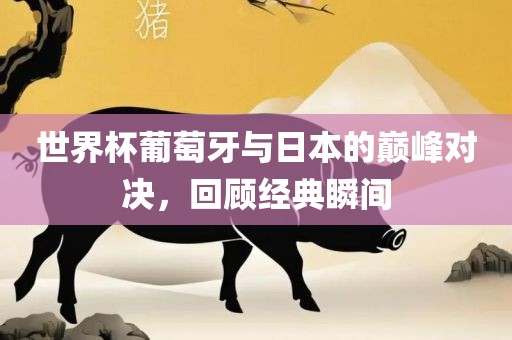 世界杯葡萄牙与日本的巅峰对决，回顾经典瞬间