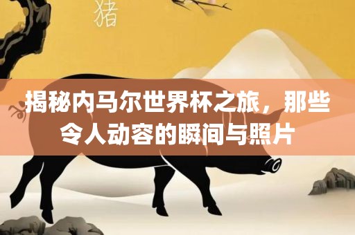 揭秘内马尔世界杯之旅，那些令人动容的瞬间与照片
