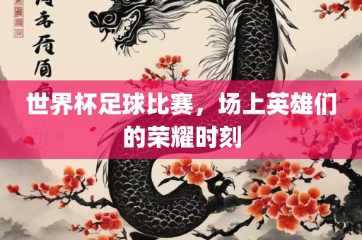世界杯足球比赛，场上英雄们的荣耀时刻