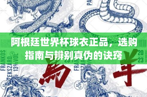 阿根廷世界杯球衣正品，选购指南与辨别真伪的诀窍