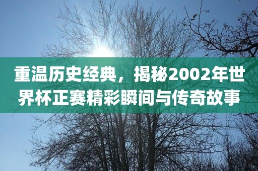 重温历史经典，揭秘2002年世界杯正赛精彩瞬间与传奇故事