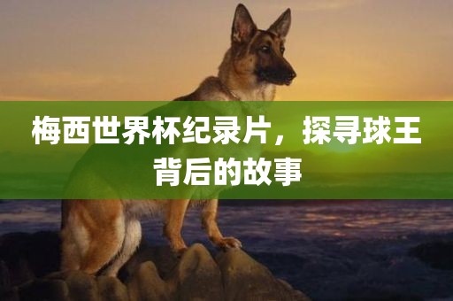 梅西世界杯纪录片，探寻球王背后的故事