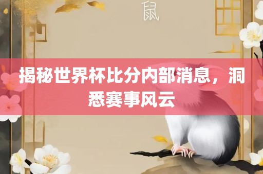 揭秘世界杯比分内部消息，洞悉赛事风云