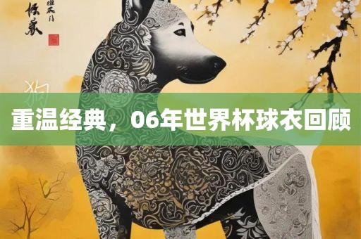 重温经典，06年世界杯球衣回顾