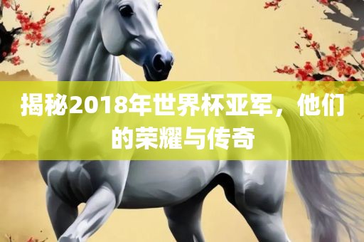 揭秘2018年世界杯亚军，他们的荣耀与传奇