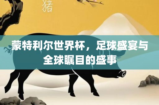 蒙特利尔世界杯，足球盛宴与全球瞩目的盛事