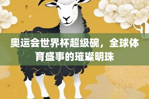 奥运会世界杯超级碗，全球体育盛事的璀璨明珠