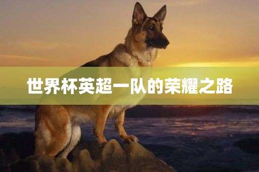 世界杯英超一队的荣耀之路