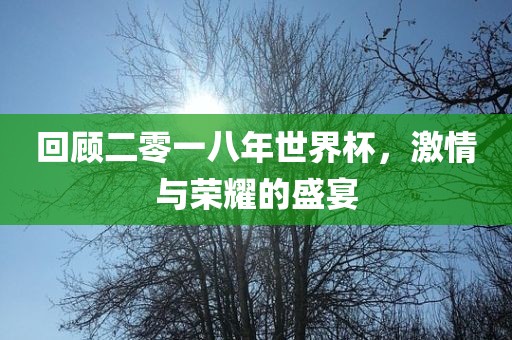 回顾二零一八年世界杯，激情与荣耀的盛宴
