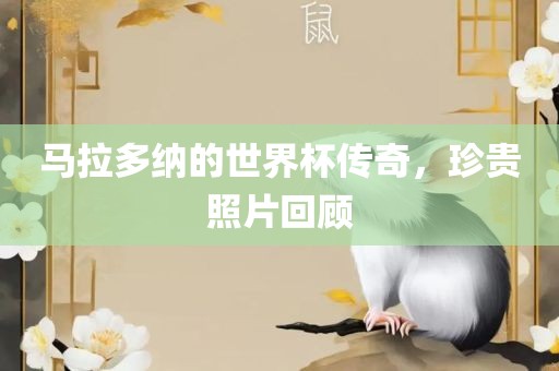 马拉多纳的世界杯传奇，珍贵照片回顾