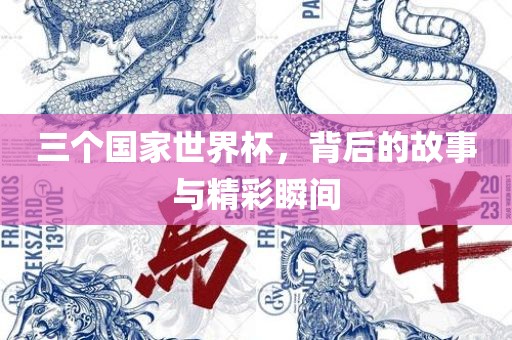 三个国家世界杯，背后的故事与精彩瞬间