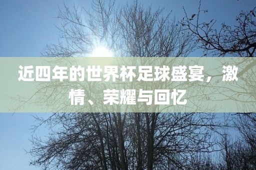 近四年的世界杯足球盛宴，激情、荣耀与回忆