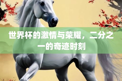 世界杯的激情与荣耀，二分之一的奇迹时刻