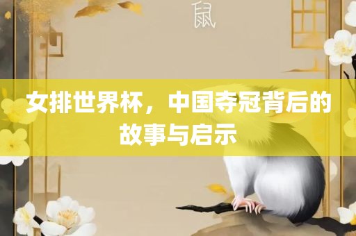 女排世界杯
