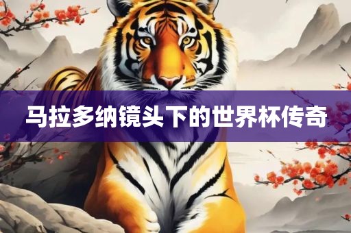 马拉多纳镜头下的世界杯传奇