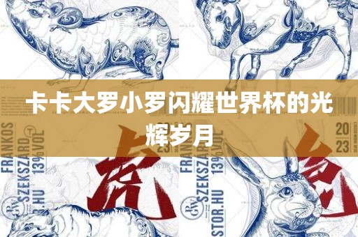 卡卡大罗小罗闪耀世界杯的光辉岁月