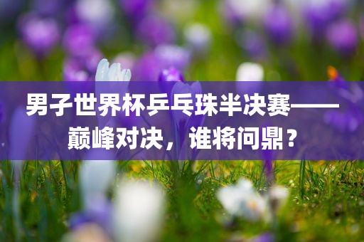 男孑世界杯乒乓珠半决赛——巅峰对决，谁将问鼎？
