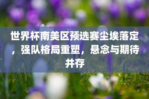 世界杯南美区预选赛尘埃落定，强队格局重塑，悬念与期待并存