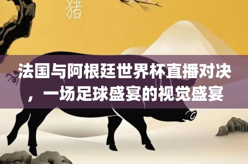 法国与阿根廷世界杯直播对决，一场足球盛宴的视觉盛宴