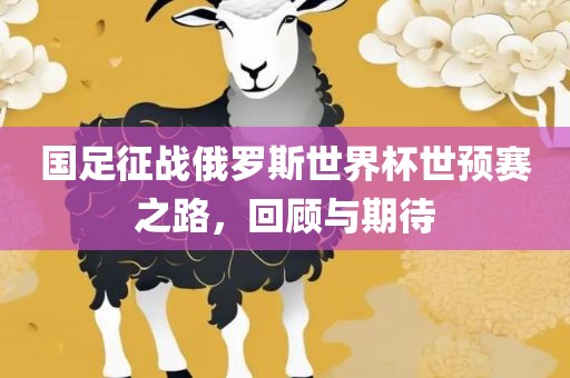 国足征战俄罗斯世界杯世预赛之路，回顾与期待