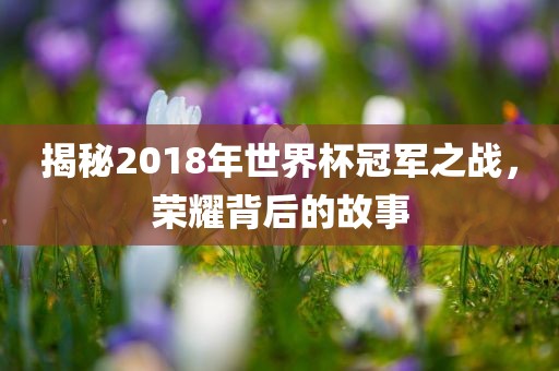揭秘2018年世界杯冠军之战，荣耀背后的故事